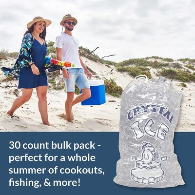 Congelatore di plastica Ice Cube Sacchetto di plastica personalizzato durevole riutilizzabile Mercantile sacchetti da 10 libbre