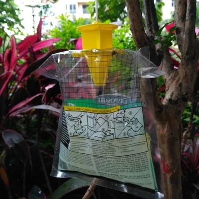 Taglia personalizzata PVC Fliegentasche Cage per il controllo delle mosche in qualsiasi ambiente