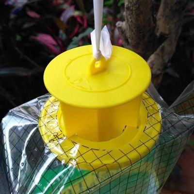 Taglia personalizzata PVC Fliegentasche Cage per il controllo delle mosche in qualsiasi ambiente