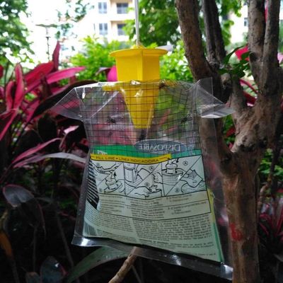 Taglia personalizzata PVC Fliegentasche Cage per il controllo delle mosche in qualsiasi ambiente