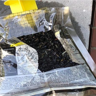 Taglia personalizzata PVC Fliegentasche Cage per il controllo delle mosche in qualsiasi ambiente